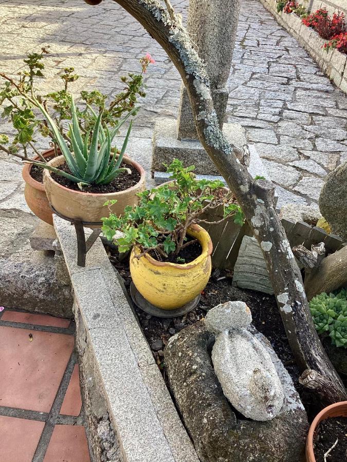 דירות או גרובה Atico Con Terraza מראה חיצוני תמונה
